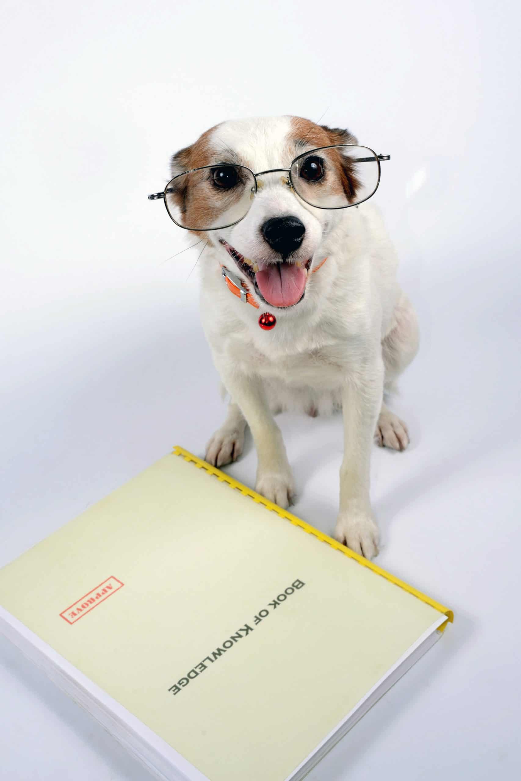 stand-up comedy class